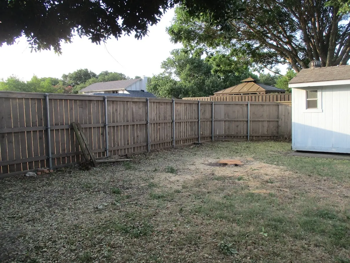 Cleared yard after professional tree removal in Ashville